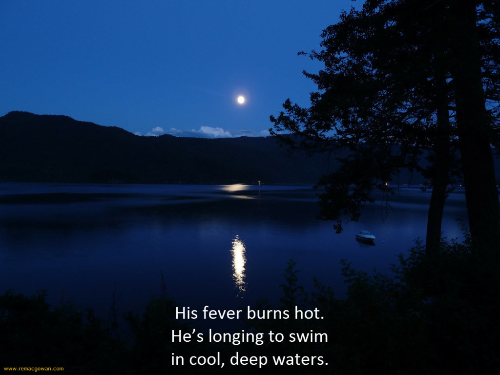 image of a moon rising over a lake for haiku by author JeniseCook.com