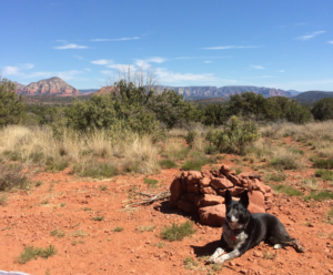photo image of our dog Mattie in Sedona dry camping 2016 image by JeniseCook.com