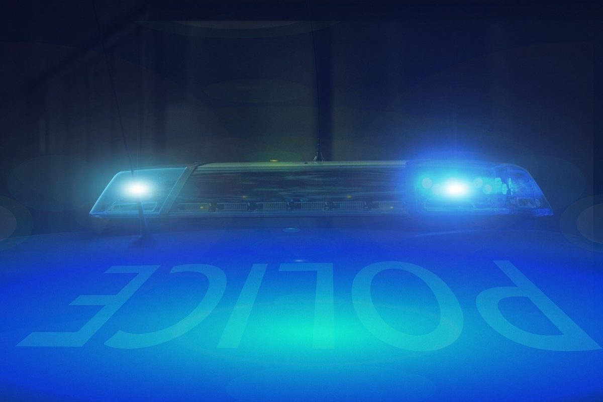 image of police cruiser lights from Pixabay for story The County's Prodigal by JeniseCook.com
