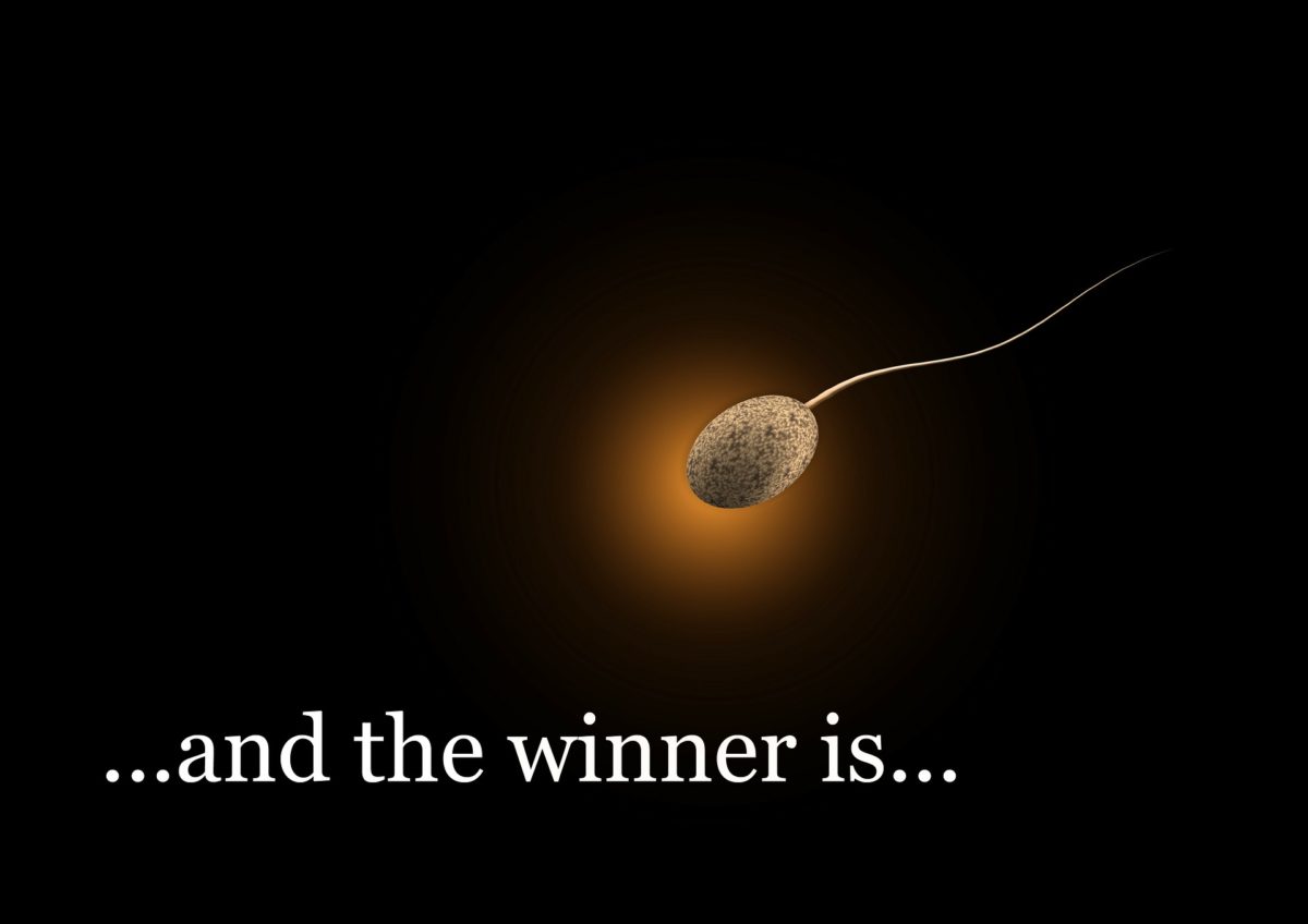 image of sperm for the story And the Winner Is by author JeniseCook.com