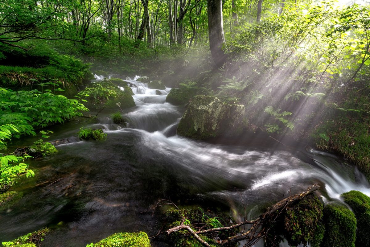 photo of flowing brook with sun rays for Poems of the Heart by JeniseCook.com