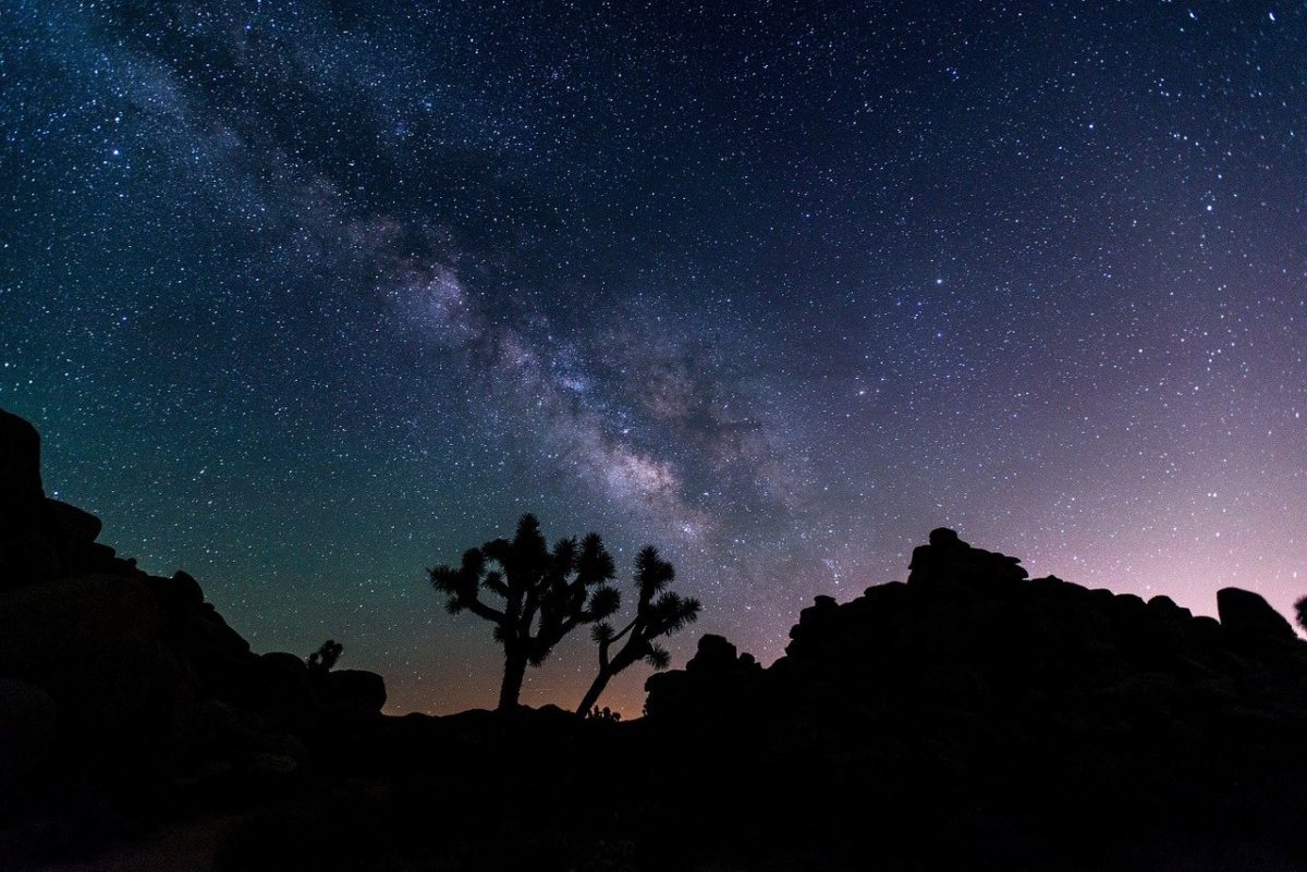photo image of mojave desert at night with joshua tree for poem high desert lullaby by JeniseCook.com
