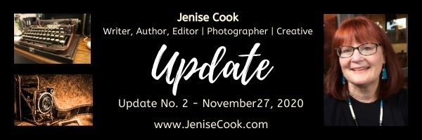 image of Update No. 2 header November 27 2020 JeniseCook.com