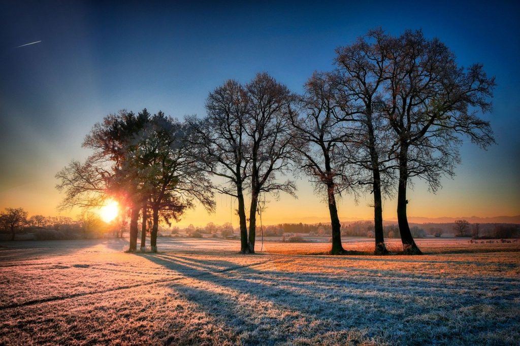 image of winter sunrise snow trees for haiku cold winter morning by JeniseCook.com