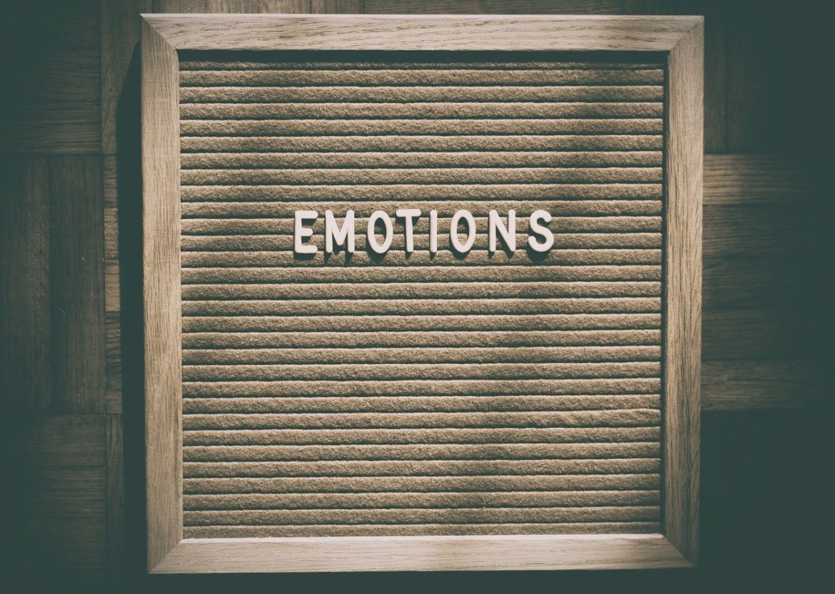 photo image emotions for blog post by JeniseCook.com