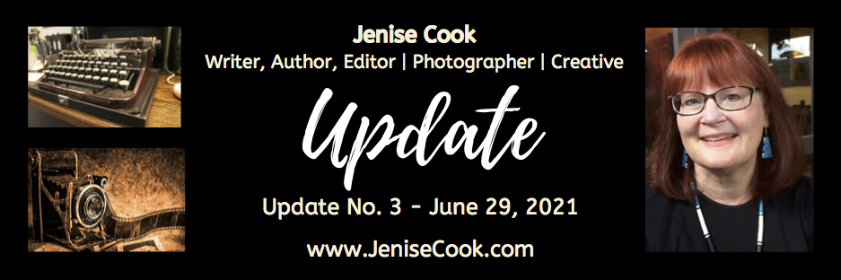Update – 29 June 2021: New Published Works, a Book Project, Third-party Platforms, and Creative Plans | JeniseCook.com